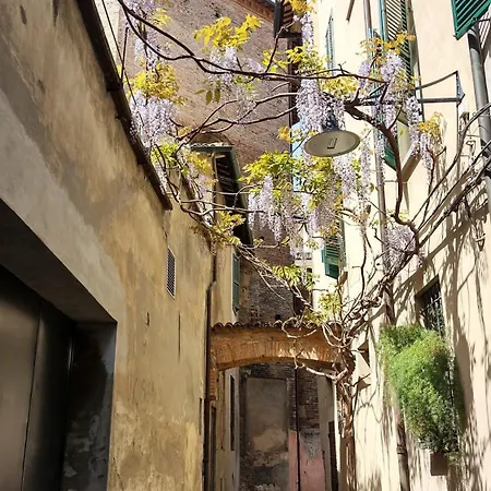 לינה וארוחת בוקר Belle Epoque *