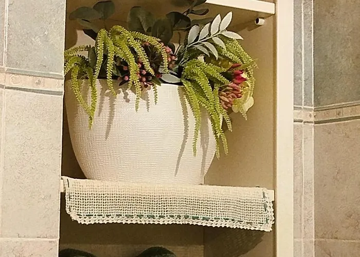 Belle Epoque פאנצה